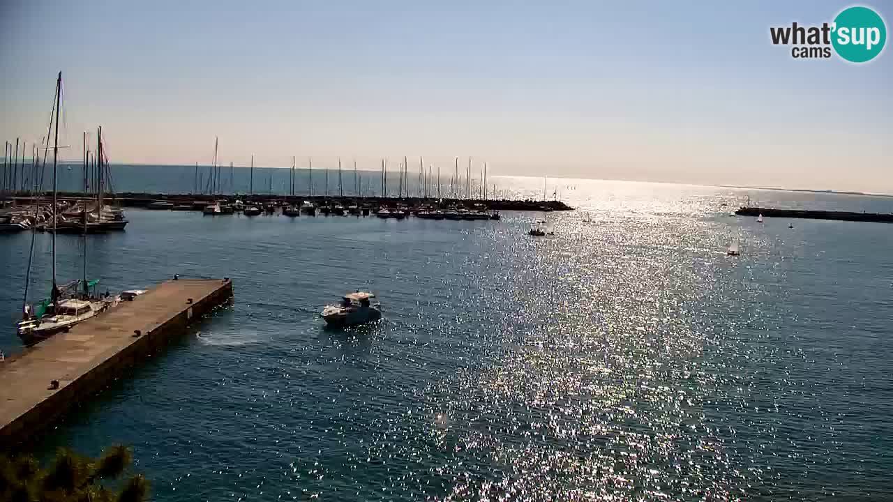 Webcam Sistiana – Marina and Bay Live View