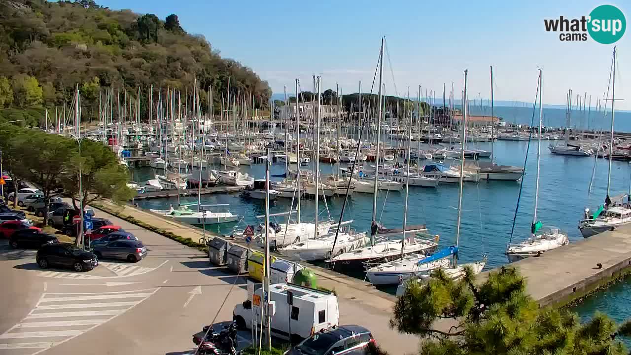 Webcam Sistiana – Marina and Bay Live View