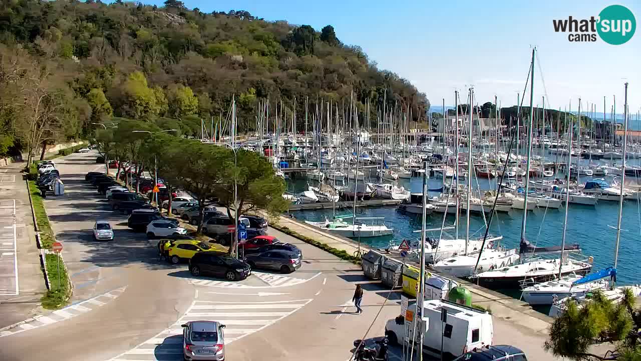 Webcam Sistiana – Marina and Bay Live View