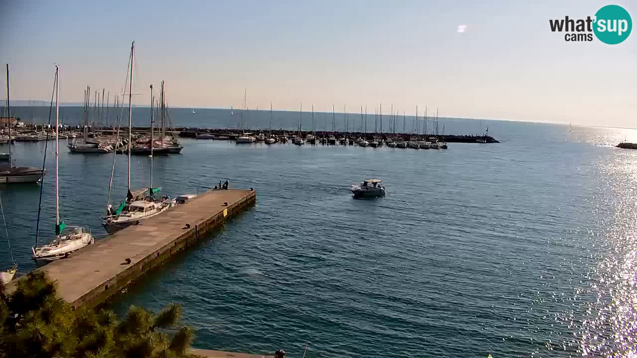 Spletna kamera Sesljan (Sistiana) – Pogled na marino in zaliv