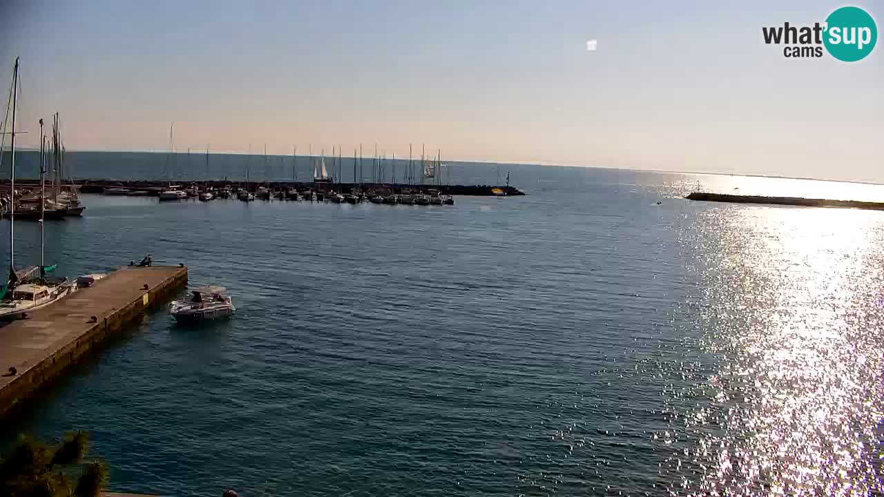 Webcam Sistiana – Marina and Bay Live View