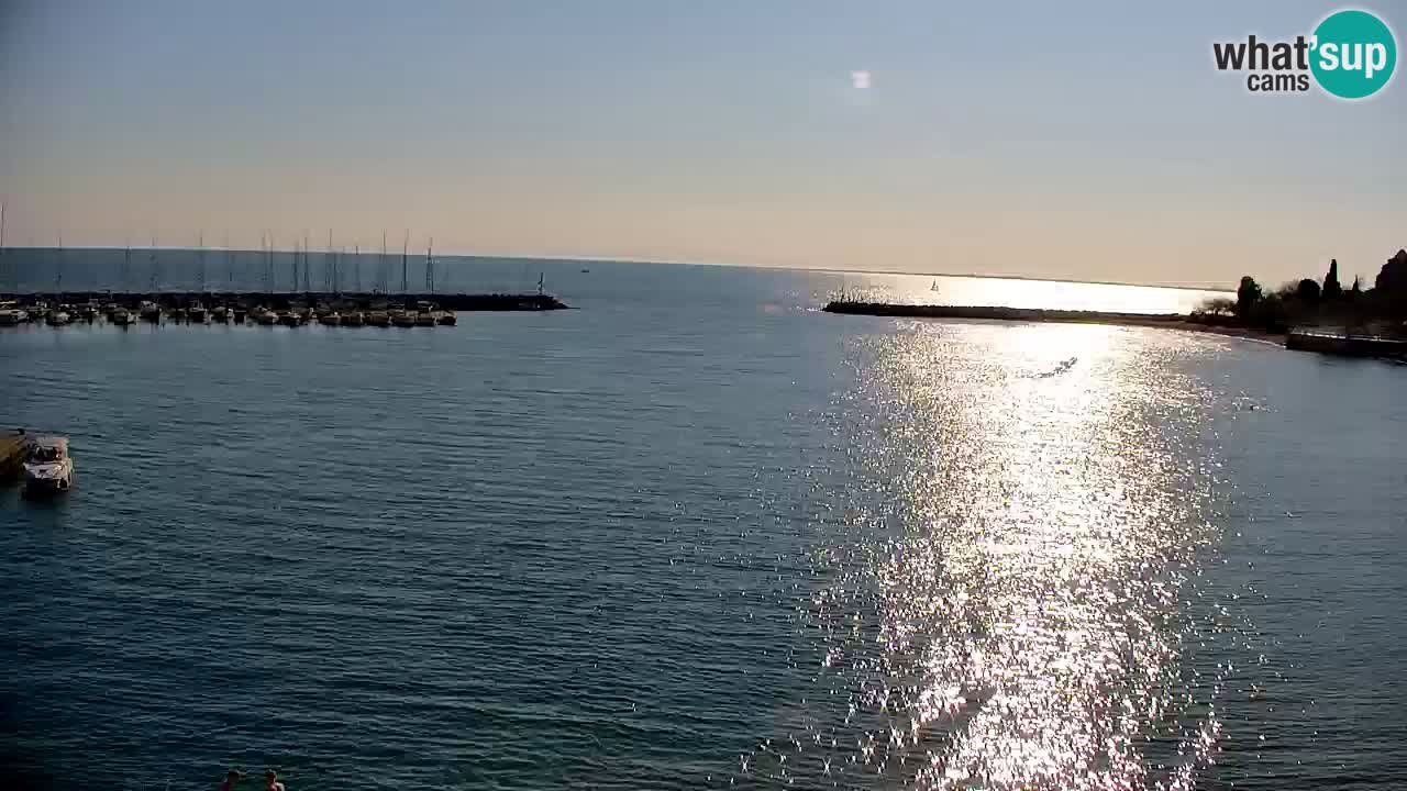 Webcam Sistiana – Pogled na marinu i zaljev
