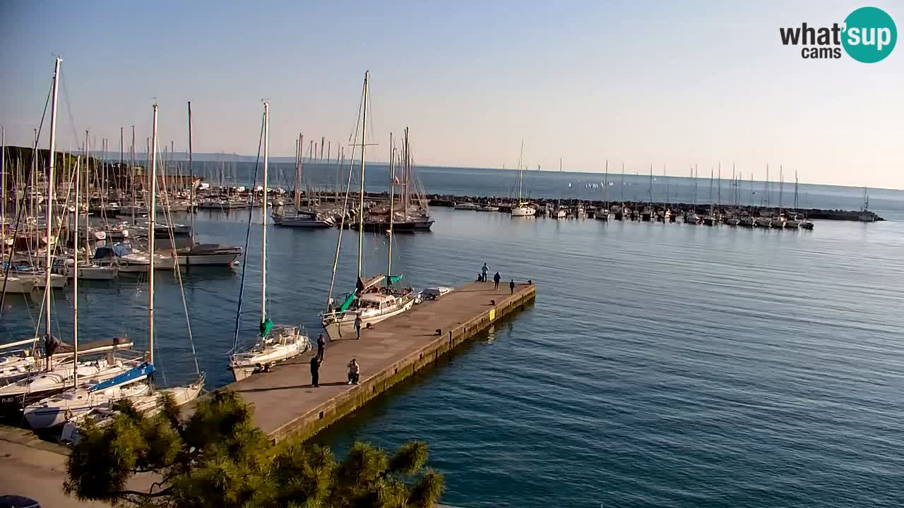 Spletna kamera Sesljan (Sistiana) – Pogled na marino in zaliv