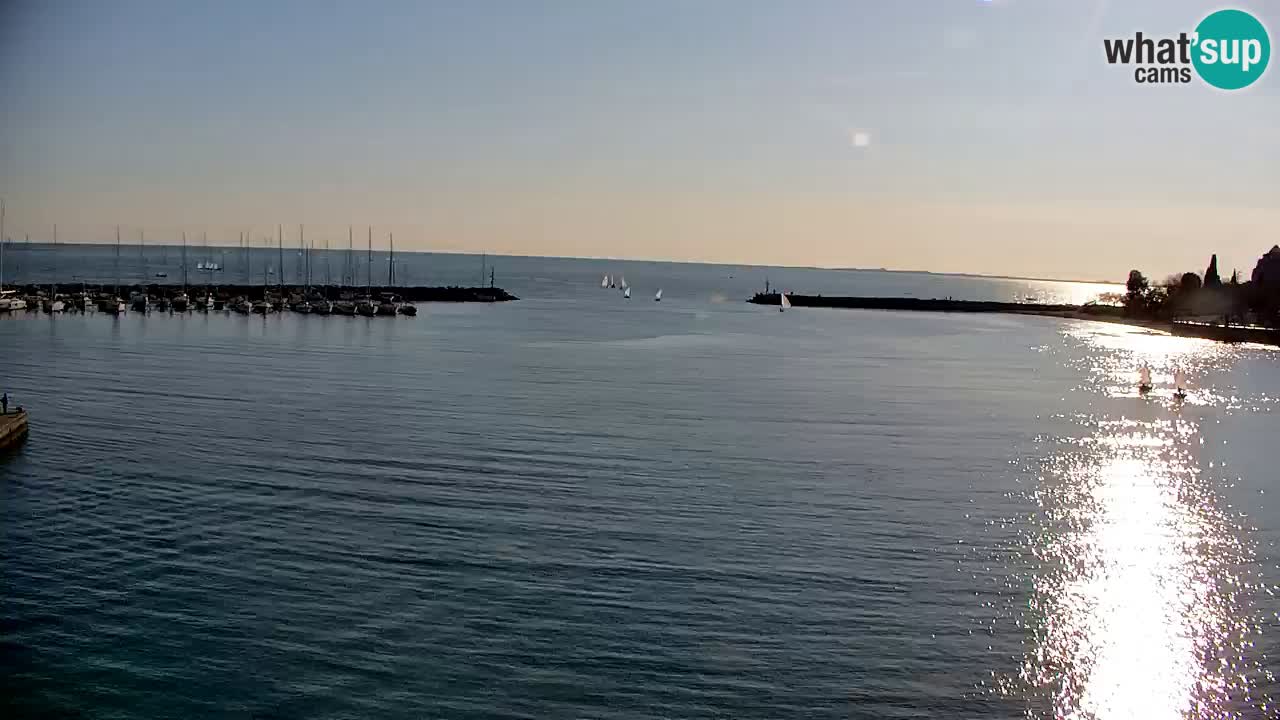 Spletna kamera Sesljan (Sistiana) – Pogled na marino in zaliv