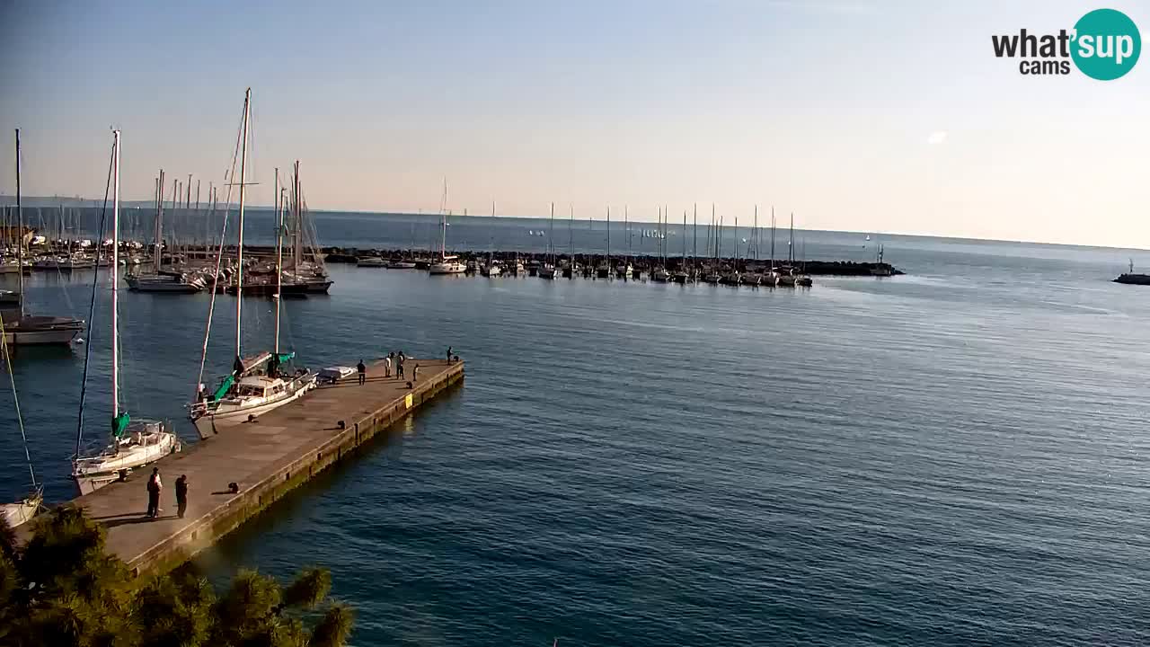 Webcam Sistiana – Marina and Bay Live View