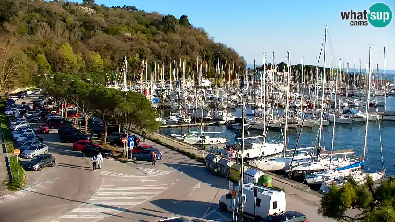 Webcam Sistiana – Marina and Bay Live View