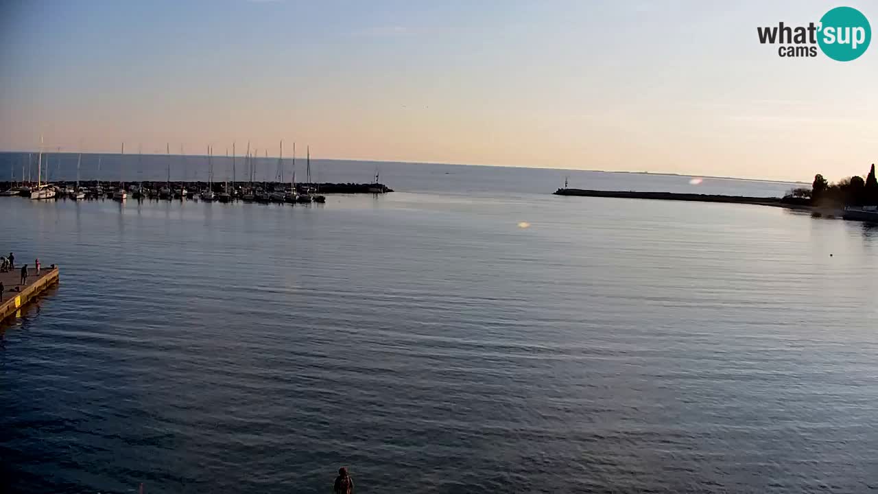 Webcam Sistiana – Vista sobre la marina y la bahía