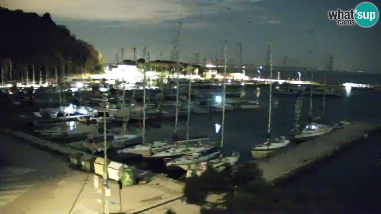 Spletna kamera Sesljan (Sistiana) – Pogled na marino in zaliv