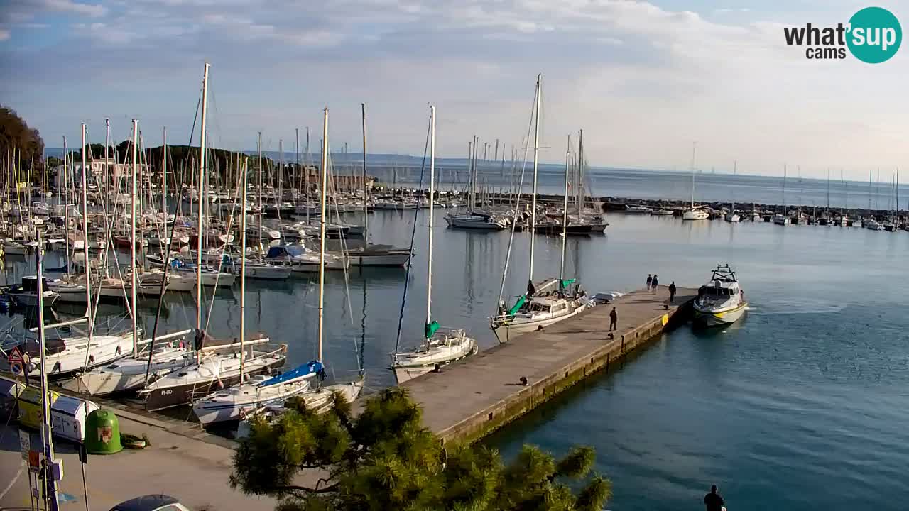 Webcam Sistiana – Vista sobre la marina y la bahía