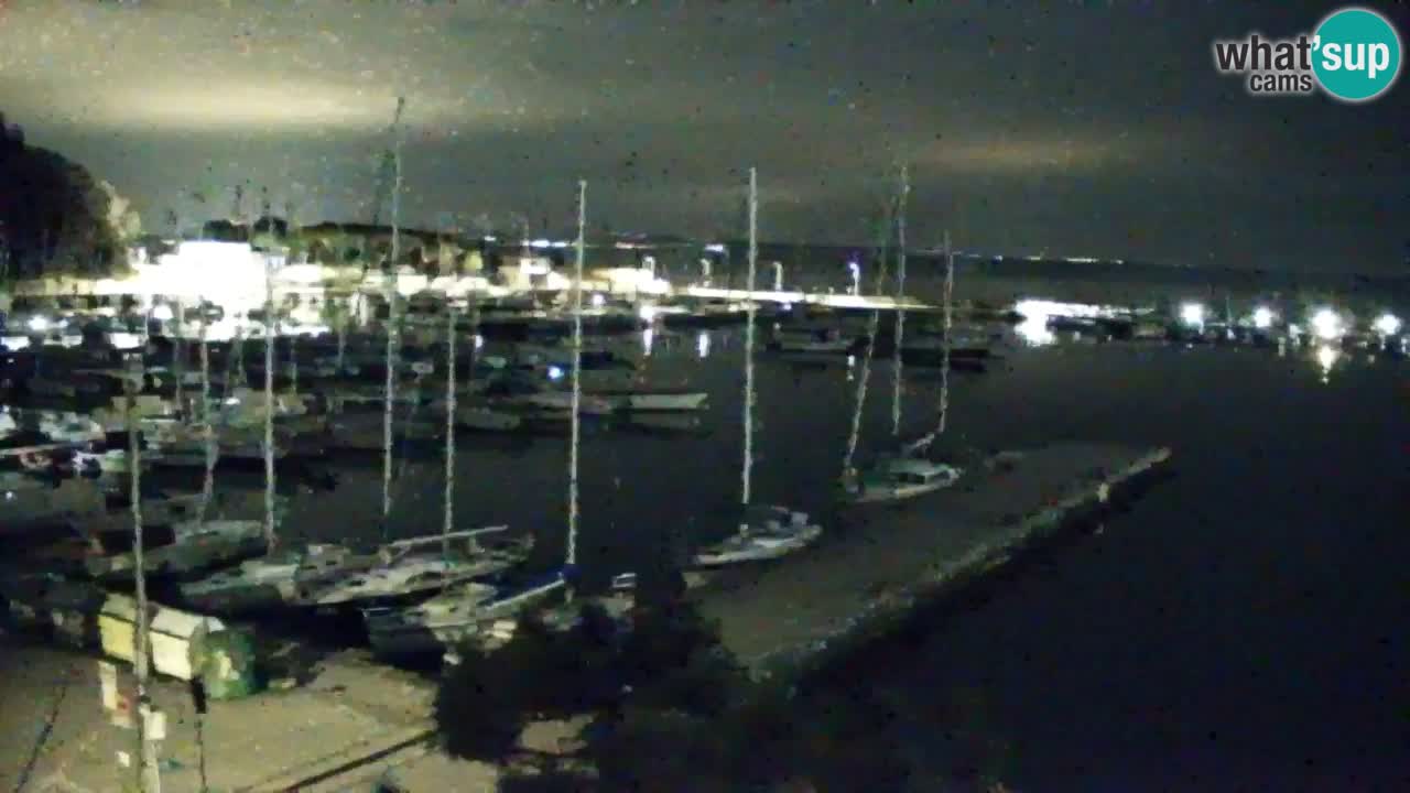 Spletna kamera Sesljan (Sistiana) – Pogled na marino in zaliv