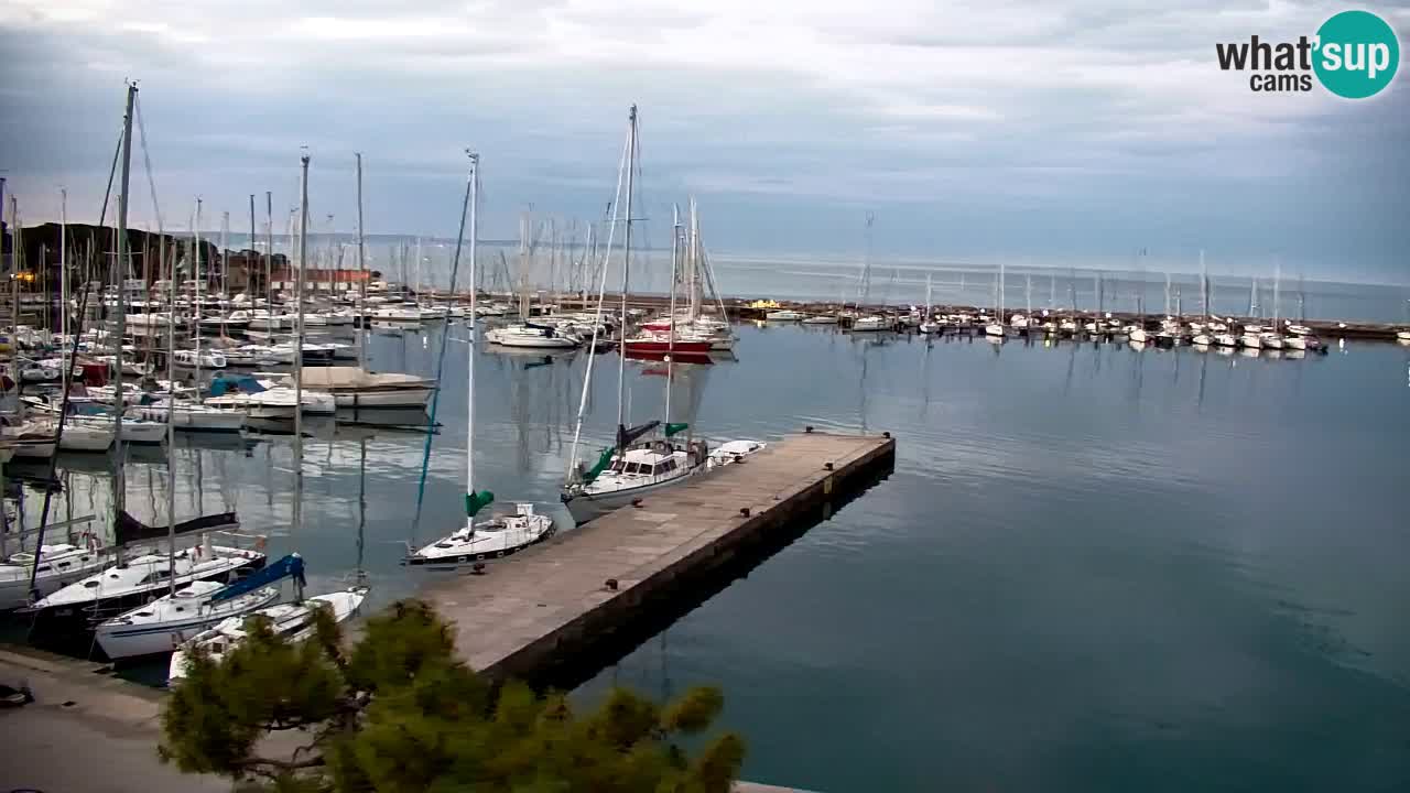 Webcam Sistiana – Marina and Bay Live View