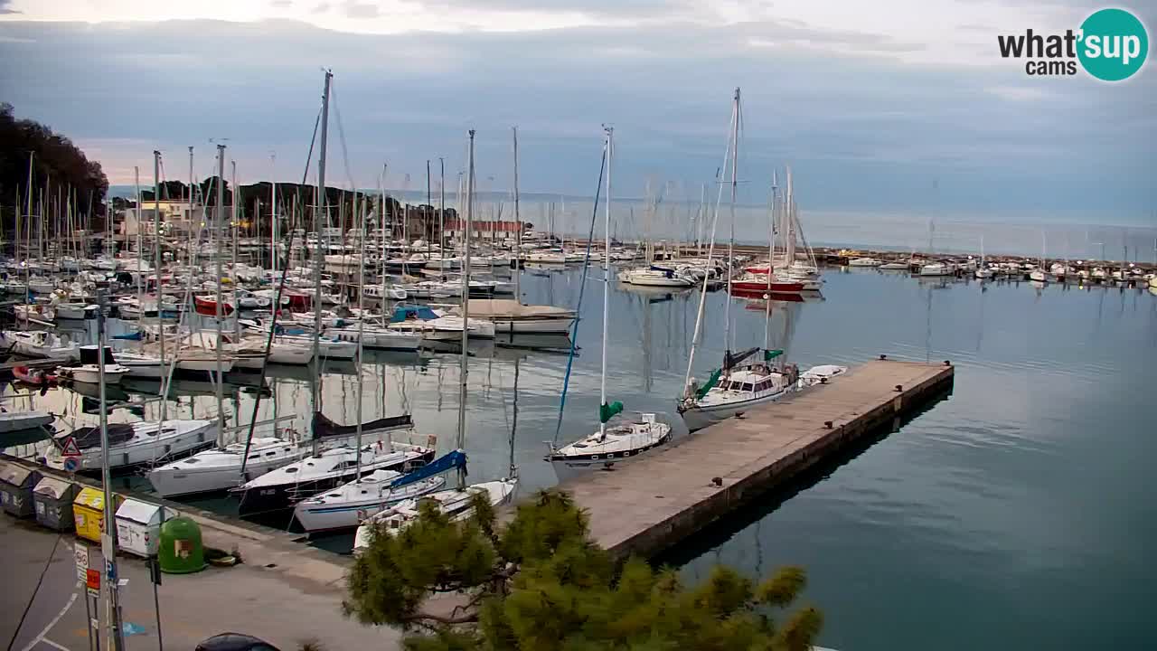 Webcam Sistiana – Marina and Bay Live View