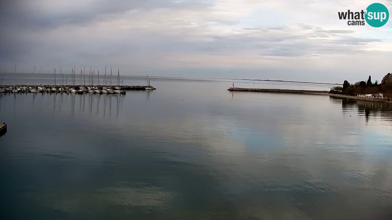 Webcam Sistiana – Pogled na marinu i zaljev