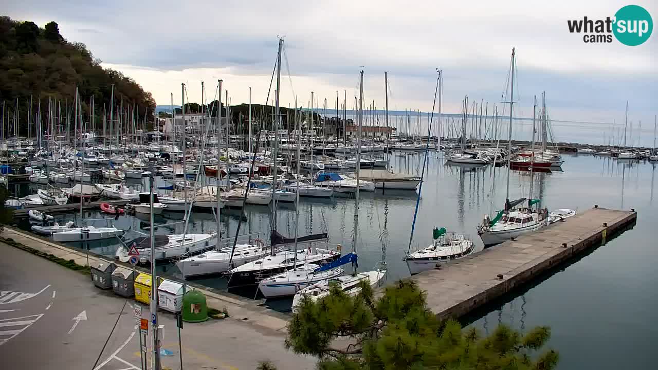 Webcam Sistiana – Blick auf Marina und Bucht