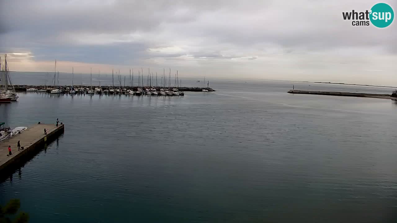 Webcam Sistiana – Marina and Bay Live View