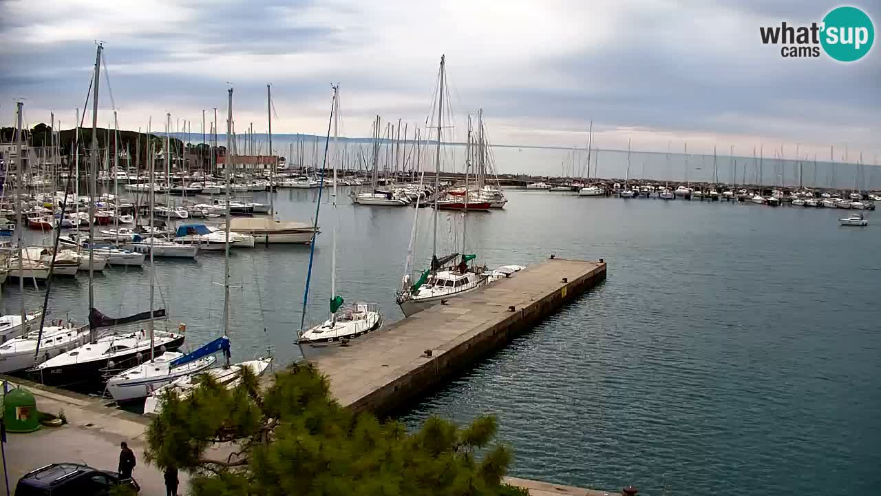 Webcam Sistiana – Blick auf Marina und Bucht