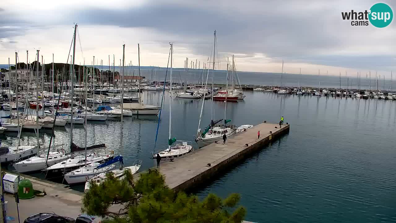 Webcam Sistiana – Pogled na marinu i zaljev