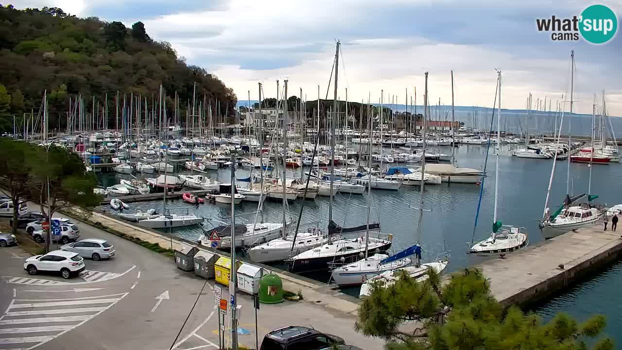 Webcam Sistiana – Marina and Bay Live View