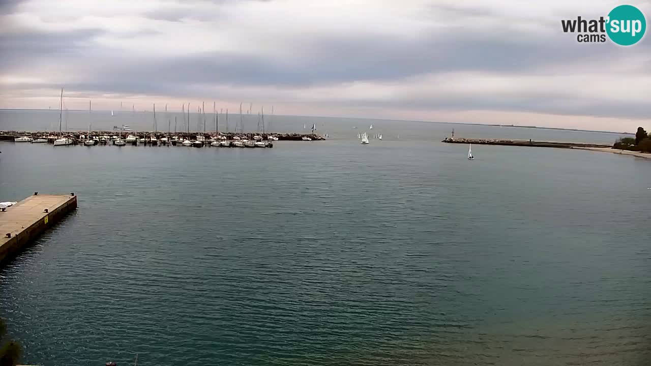 Webcam Sistiana – Pogled na marinu i zaljev