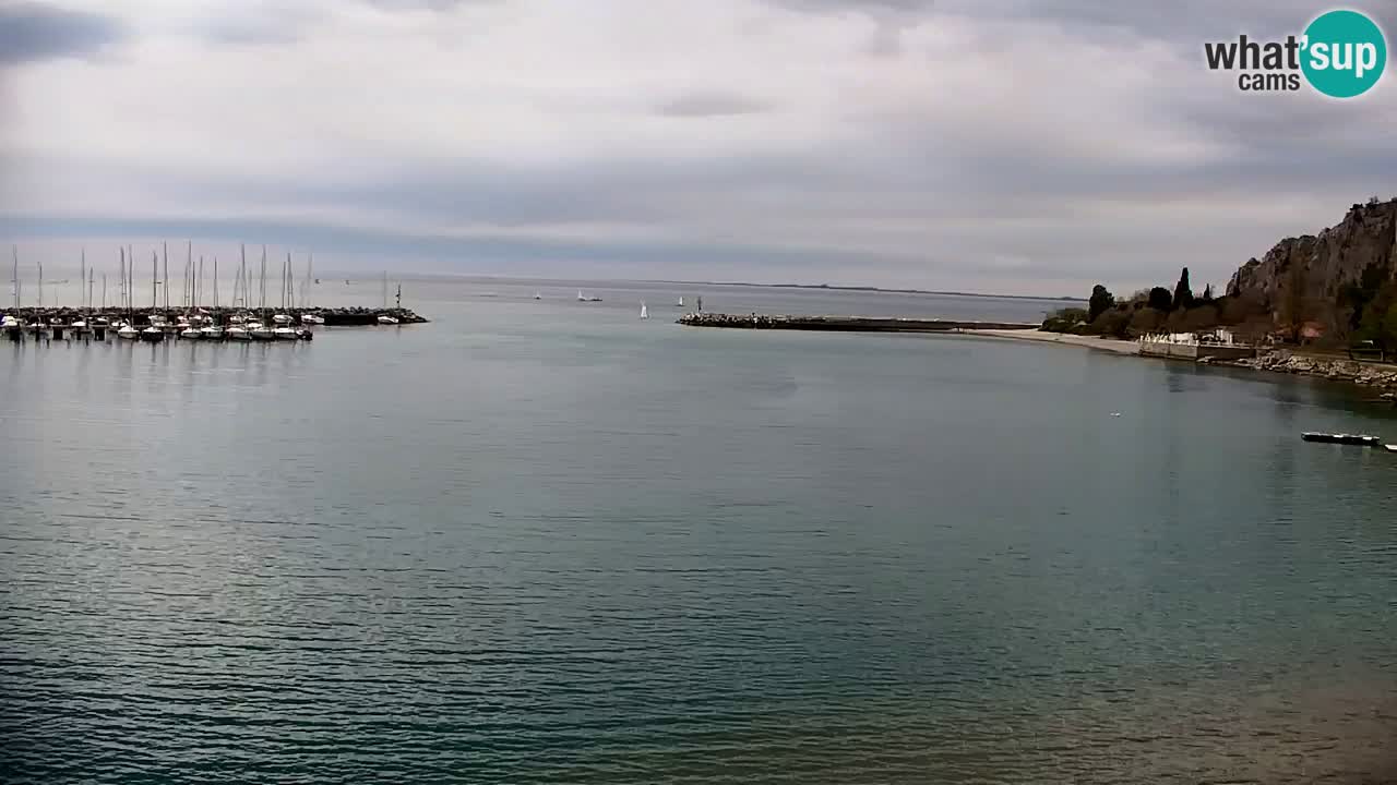 Spletna kamera Sesljan (Sistiana) – Pogled na marino in zaliv