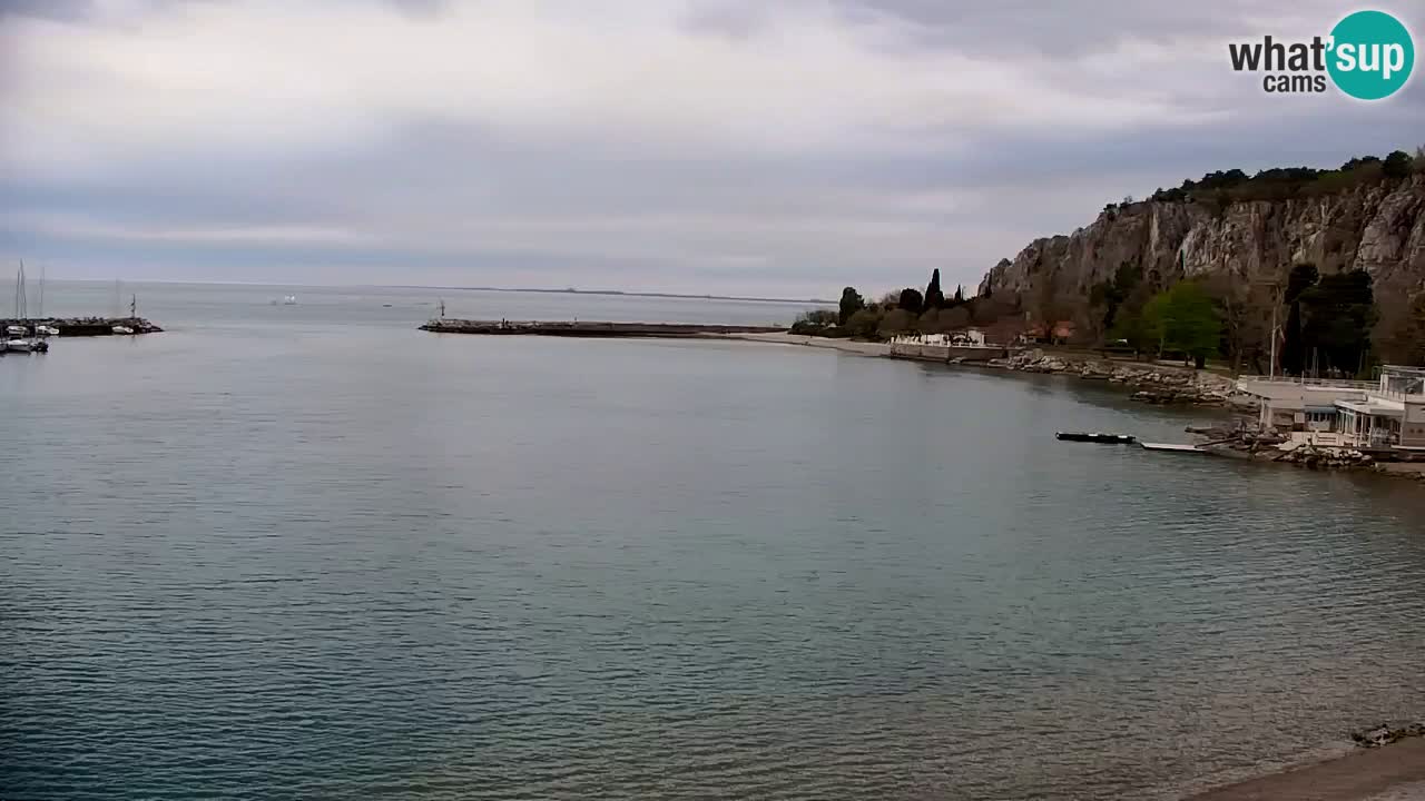 Webcam Sistiana – Marina and Bay Live View