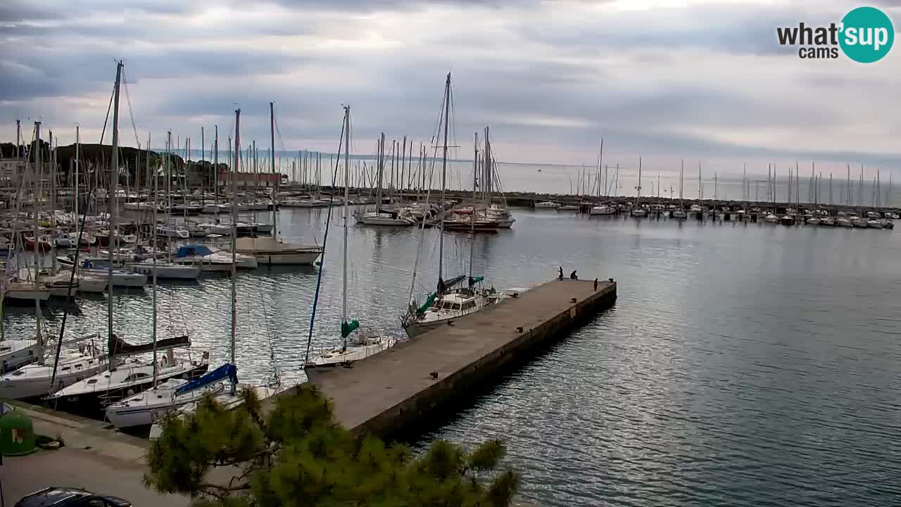 Webcam Sistiana – Blick auf Marina und Bucht