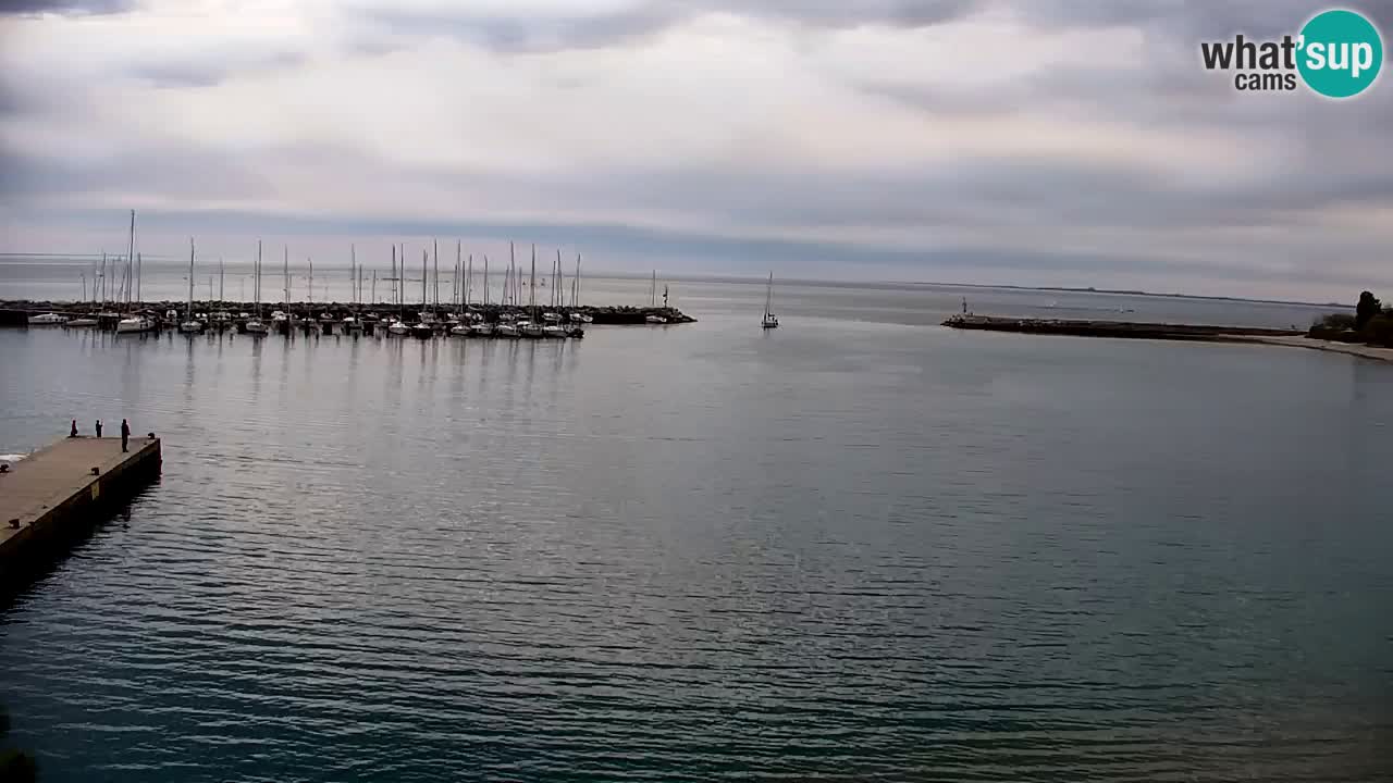 Webcam Sistiana – Pogled na marinu i zaljev