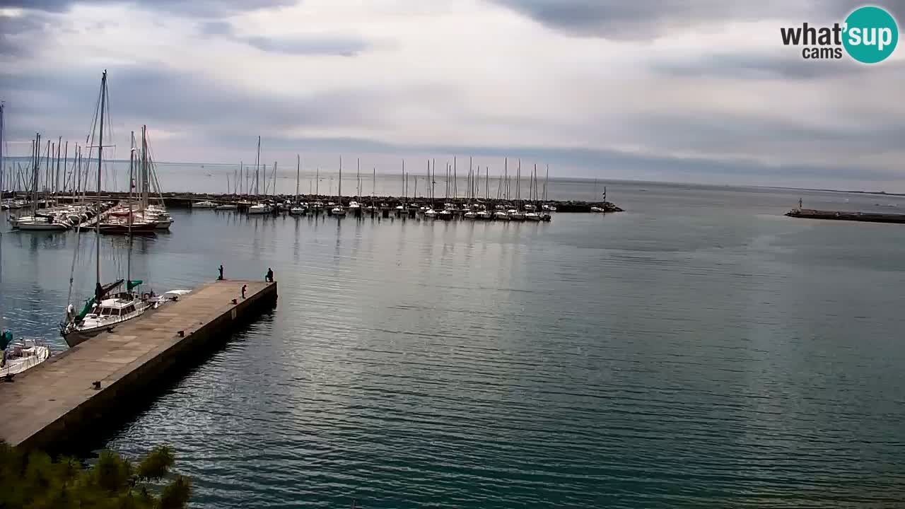 Webcam Sistiana – Pogled na marinu i zaljev