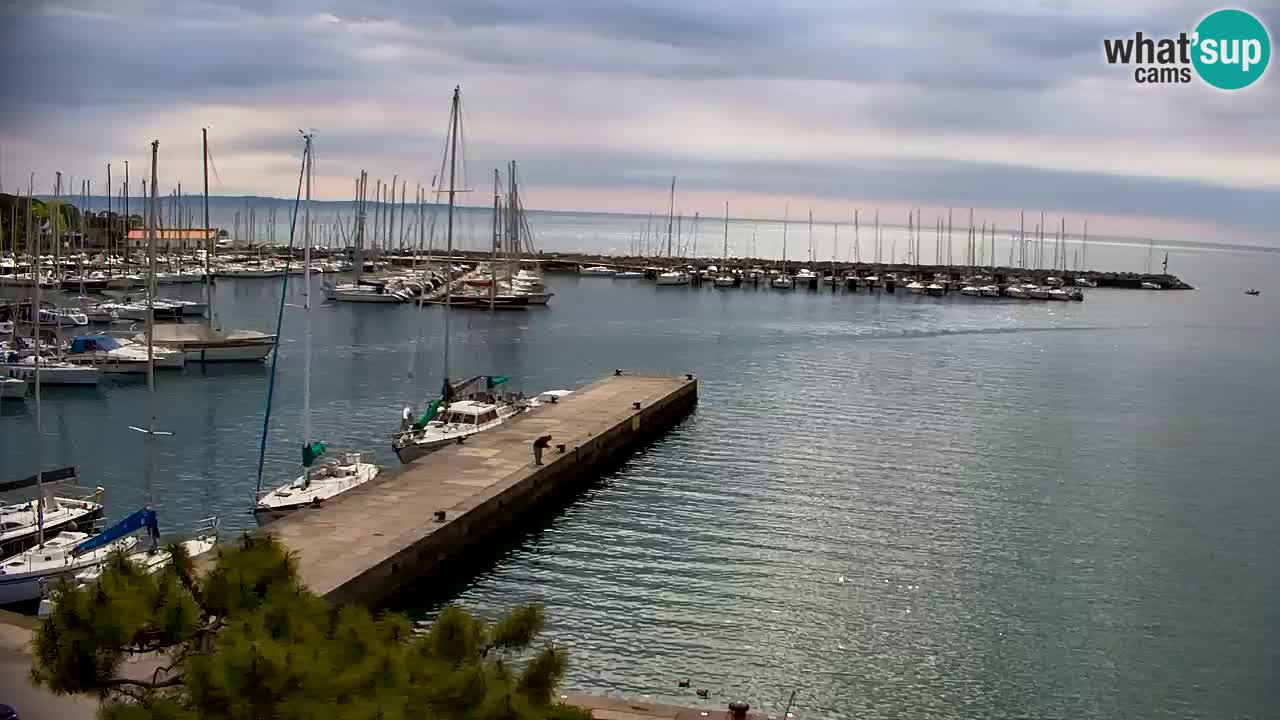 Spletna kamera Sesljan (Sistiana) – Pogled na marino in zaliv