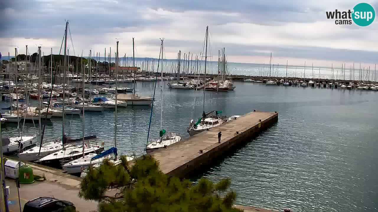 Webcam Sistiana – Pogled na marinu i zaljev