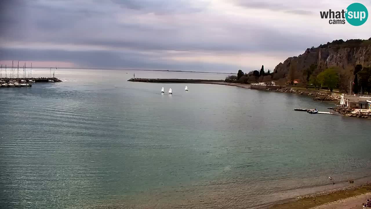 Webcam Sistiana – Marina and Bay Live View