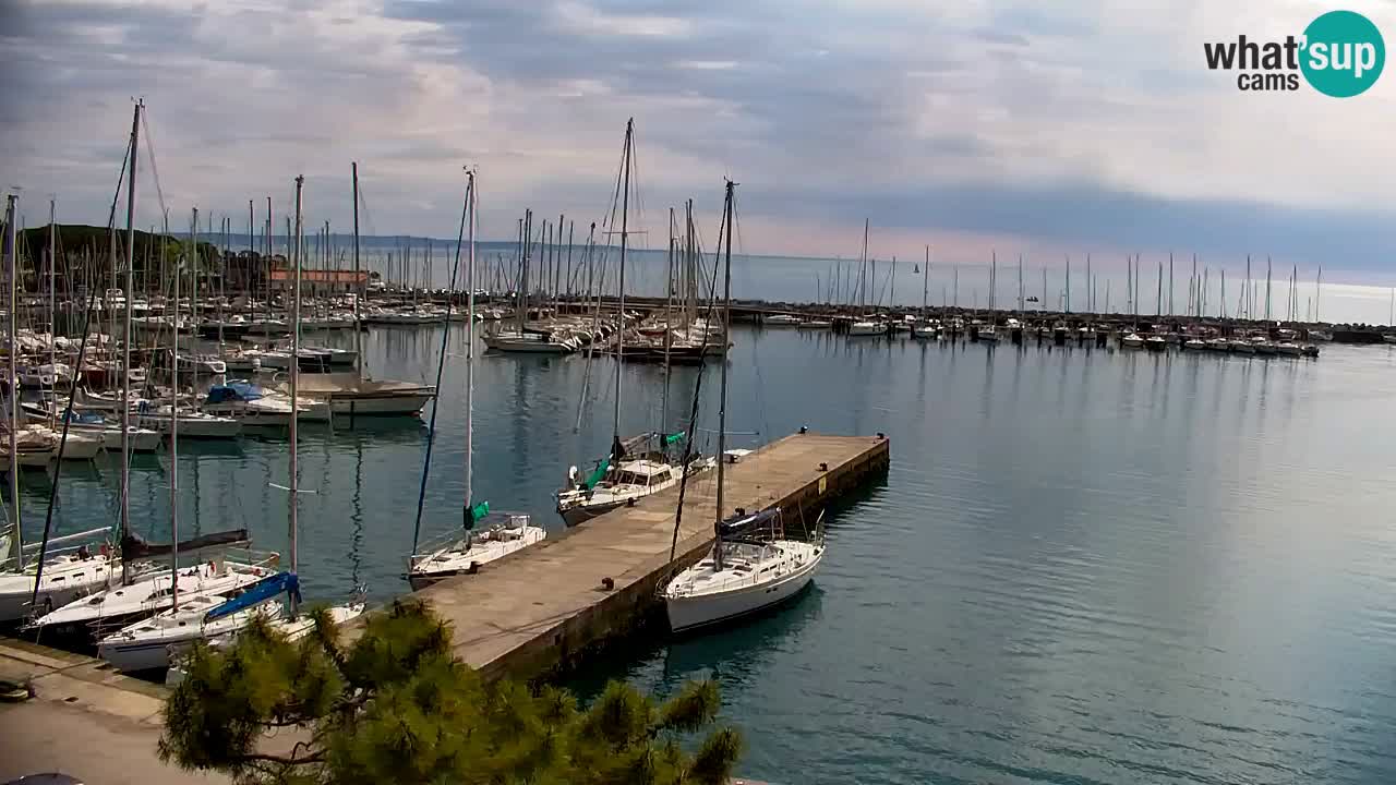 Webcam Sistiana – Marina and Bay Live View