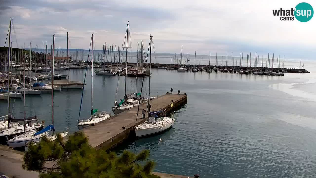 Webcam Sistiana – Vista sobre la marina y la bahía