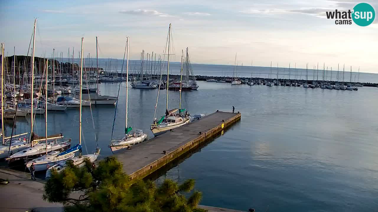 Webcam Sistiana – Pogled na marinu i zaljev