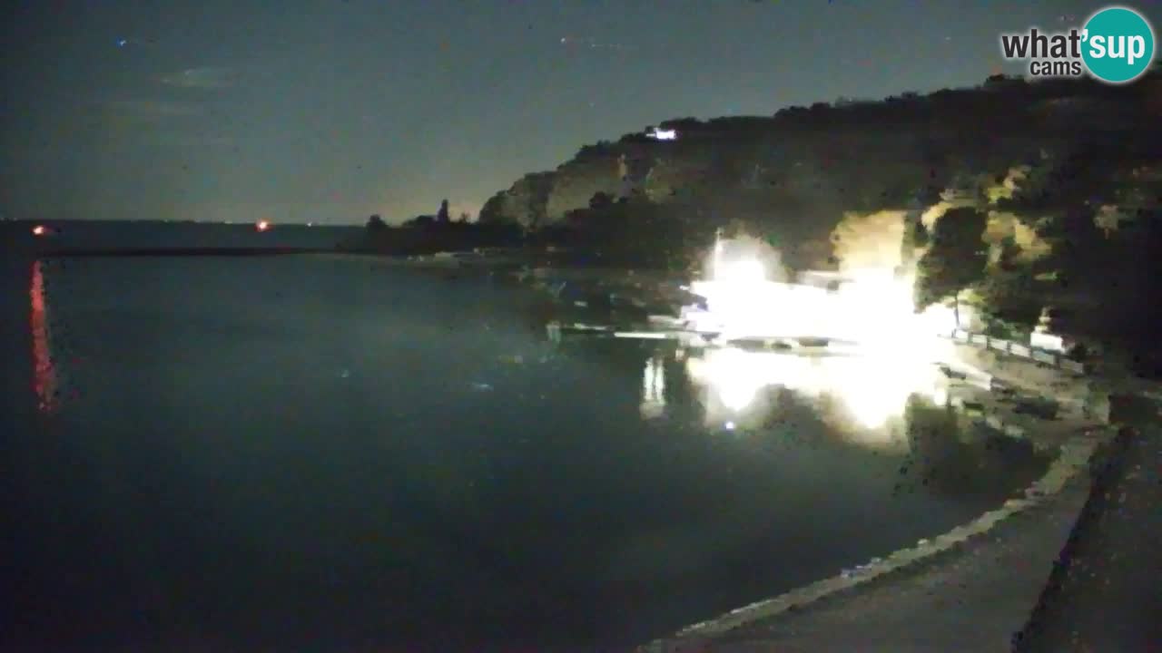 Webcam Sistiana – Marina and Bay Live View