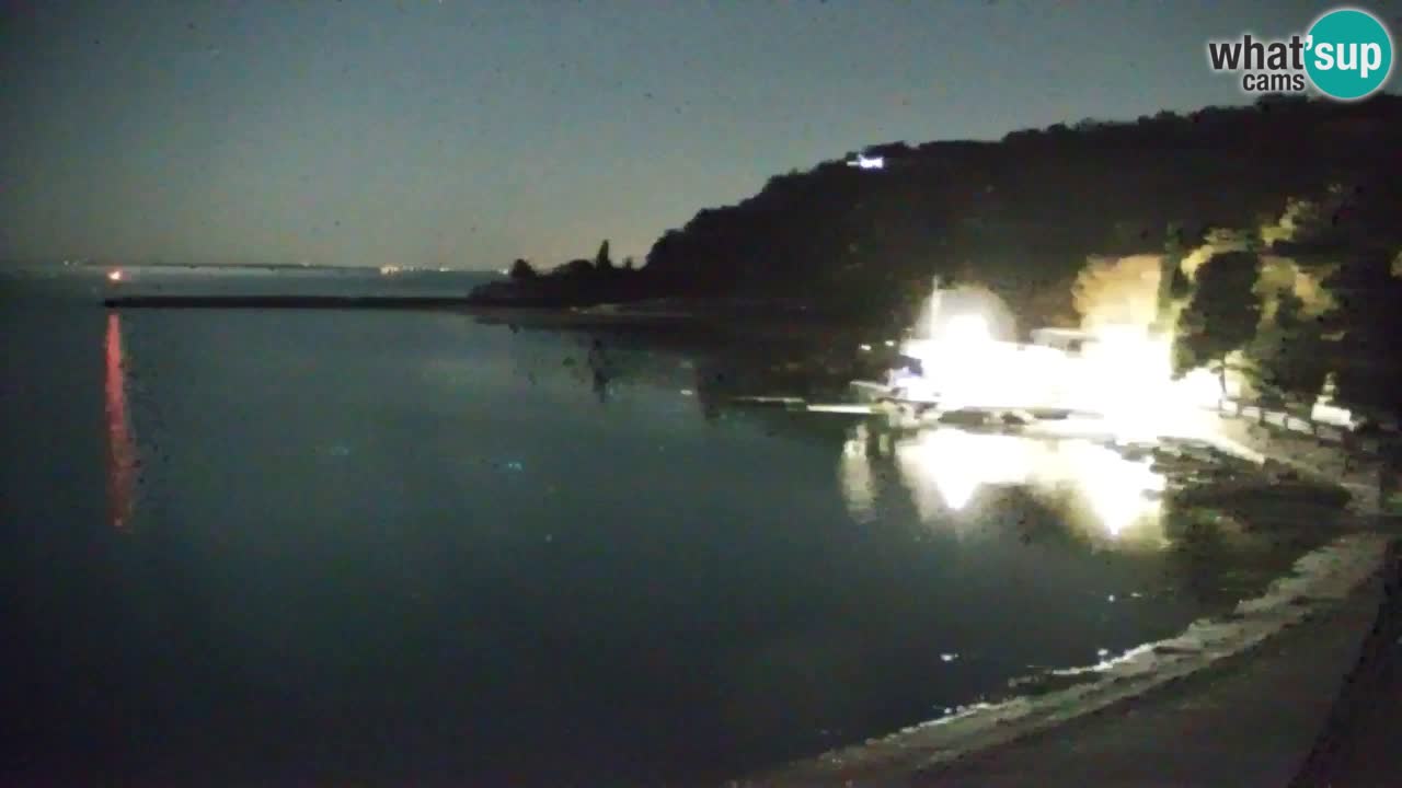 Webcam Sistiana – Marina and Bay Live View