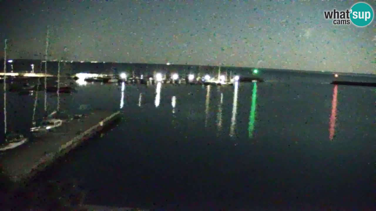 Webcam Sistiana – Pogled na marinu i zaljev
