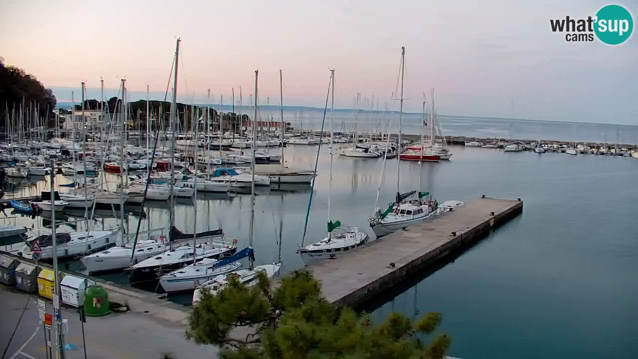 Webcam Sistiana – Marina and Bay Live View