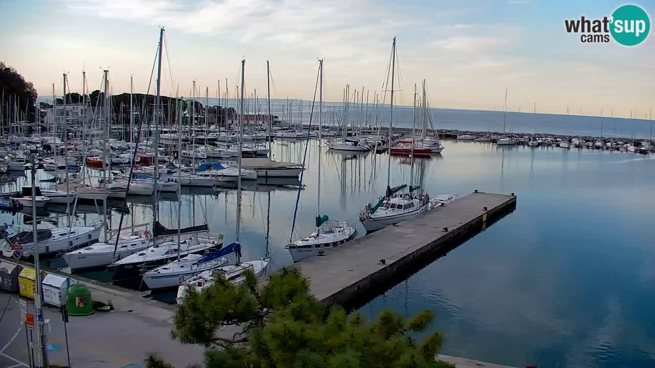 Webcam Sistiana – Blick auf Marina und Bucht