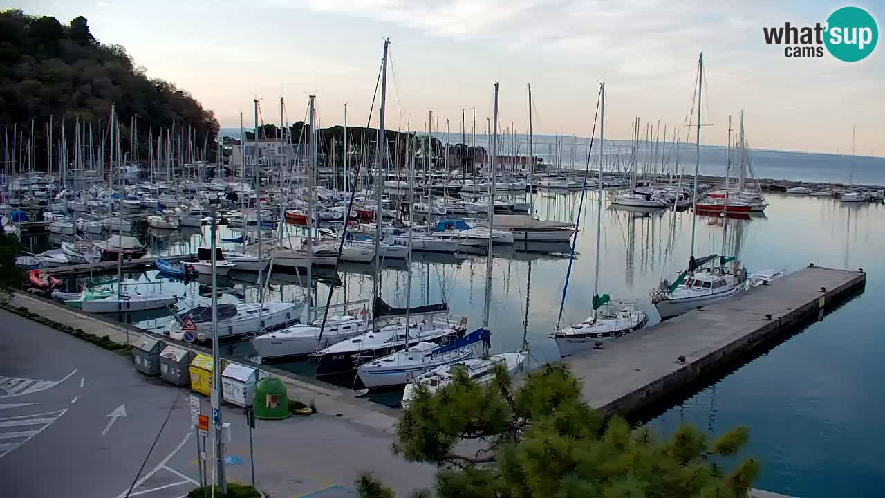 Webcam Sistiana – Marina and Bay Live View