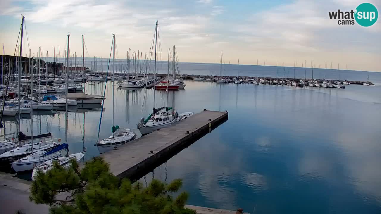 Webcam Sistiana – Marina and Bay Live View