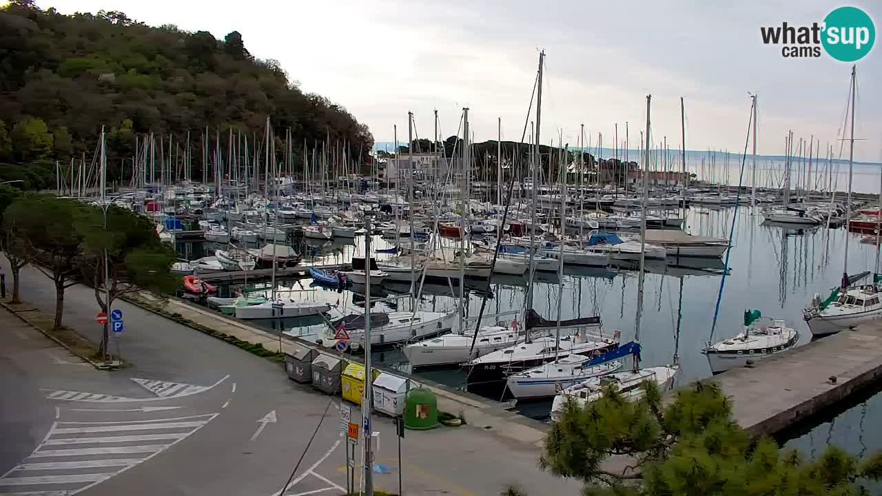 Spletna kamera Sesljan (Sistiana) – Pogled na marino in zaliv