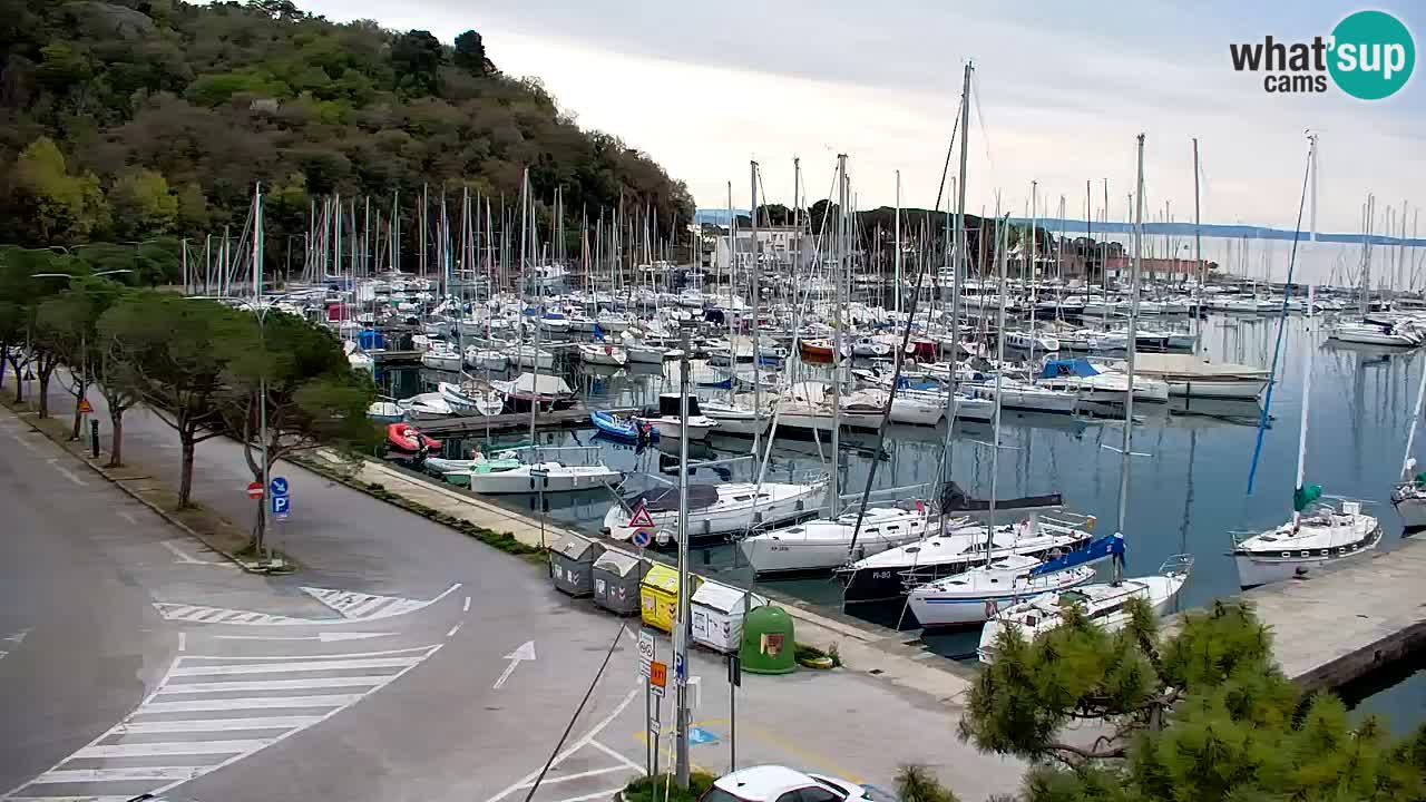 Spletna kamera Sesljan (Sistiana) – Pogled na marino in zaliv