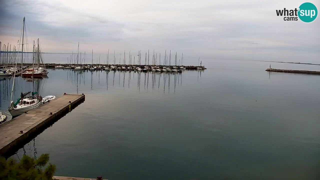 Webcam Sistiana – Pogled na marinu i zaljev