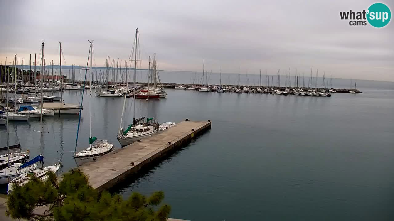 Webcam Sistiana – Pogled na marinu i zaljev