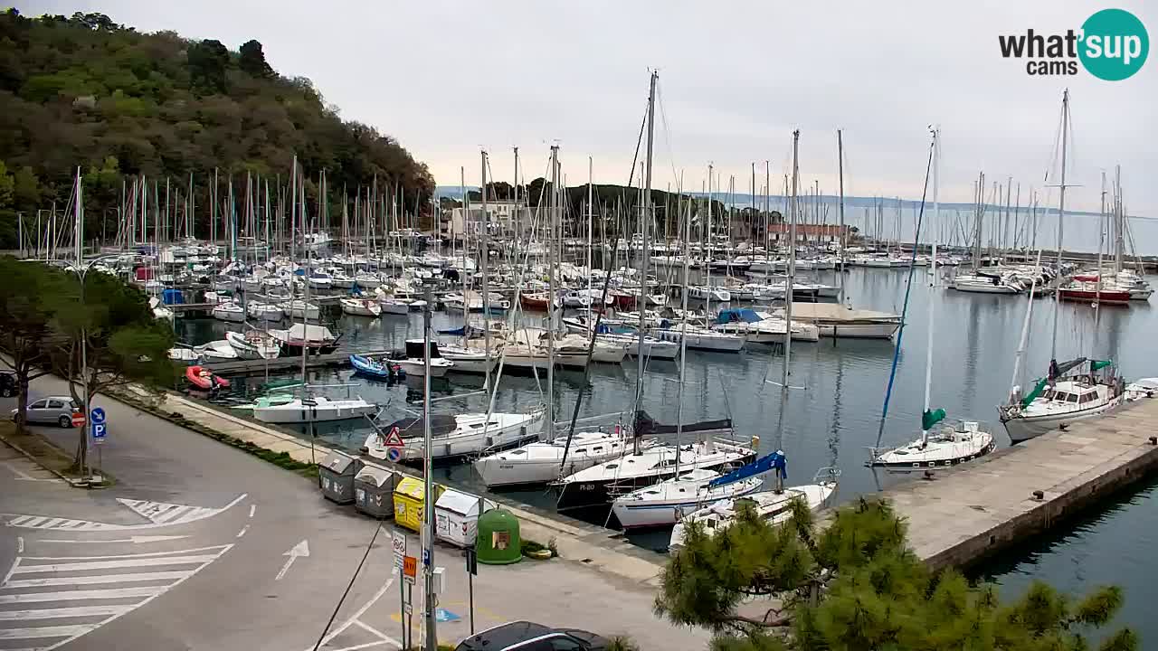 Webcam Sistiana – Pogled na marinu i zaljev