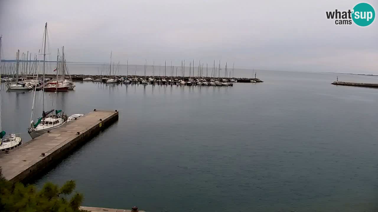 Webcam Sistiana – Vue sur la marina et la baie