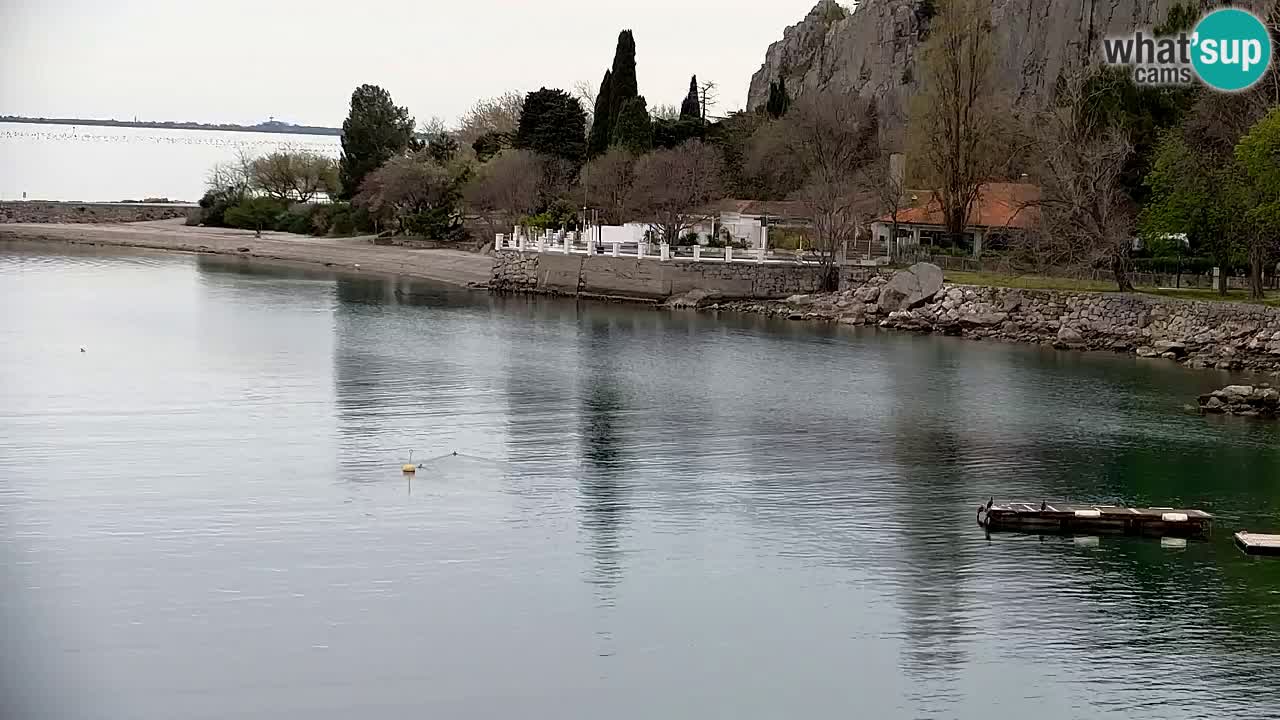 Webcam Sistiana – Pogled na marinu i zaljev