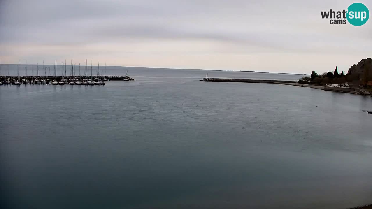 Webcam Sistiana – Vista sobre la marina y la bahía
