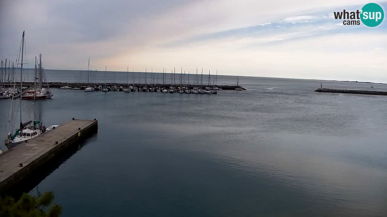 Webcam Sistiana – Vista sobre la marina y la bahía